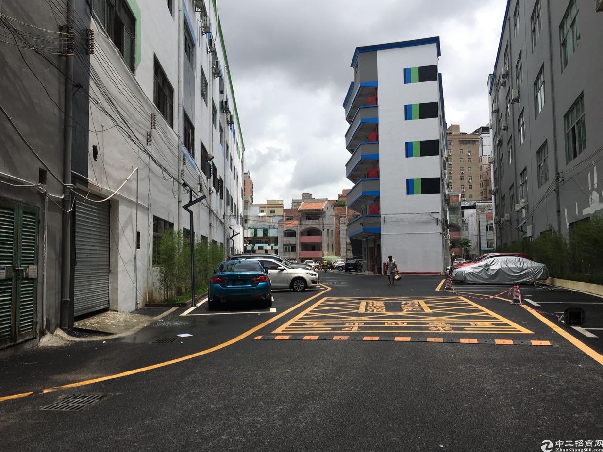 龙华龙胜地铁站电商园办公室出租