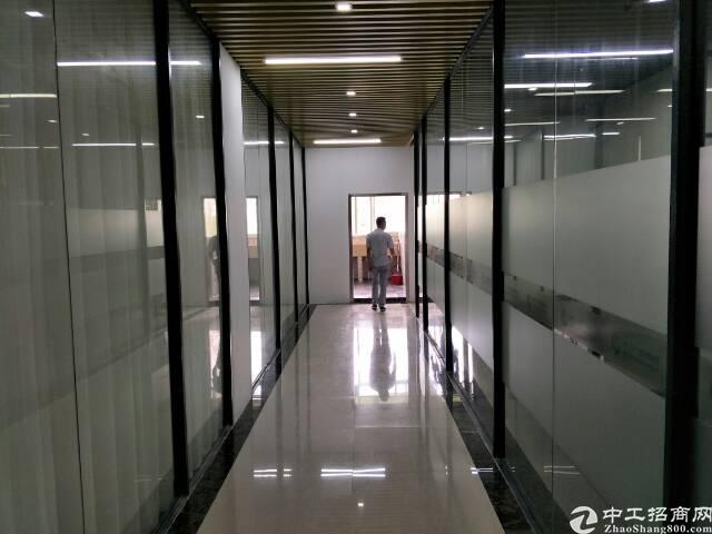 西丽地铁口新出楼上300平方写字楼超低价出租