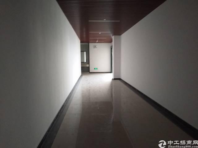 出租福永和平繁华地段精装写字楼