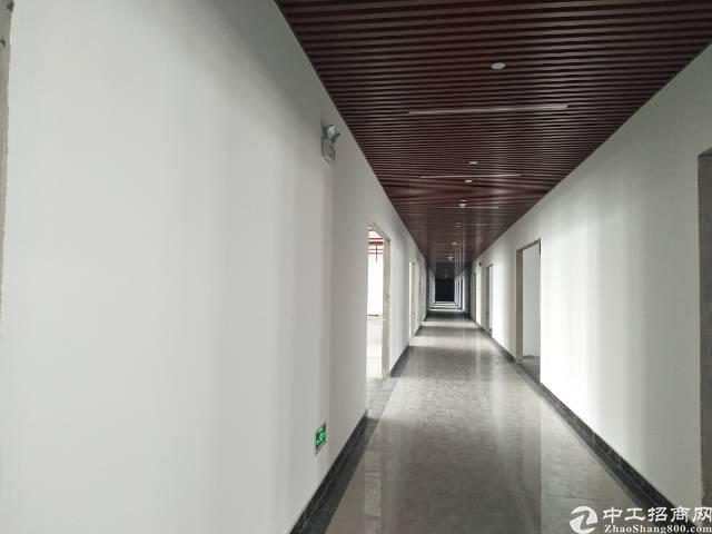 出租福永和平繁华地段精装写字楼