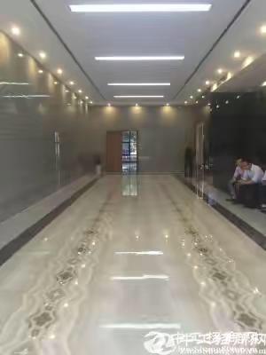 龙岗坪山全新精装修小户型50平至750平写字楼