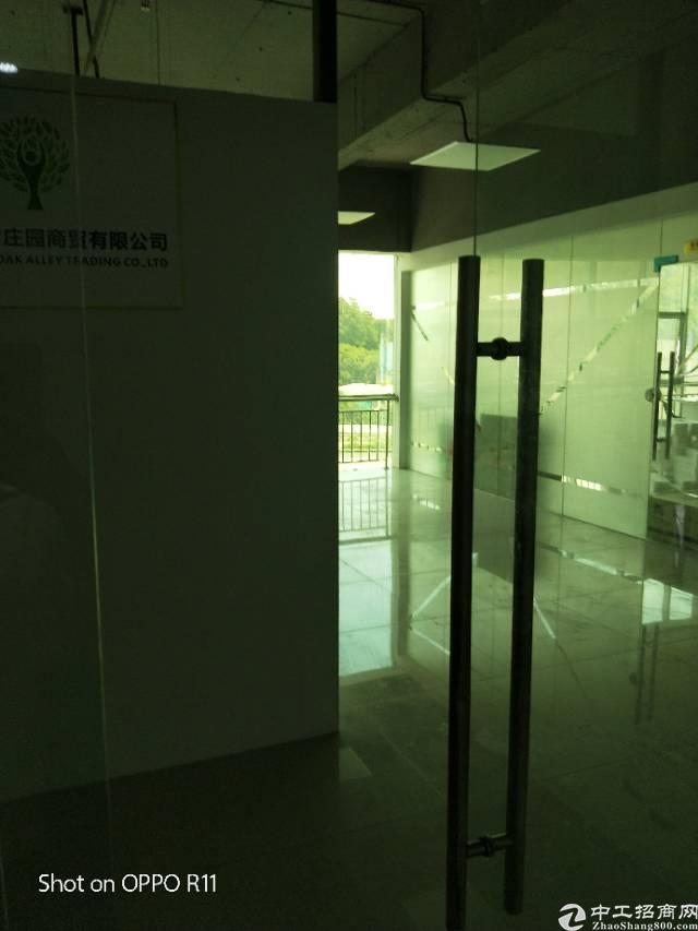 布吉丹竹头地铁站附近精装写字楼出租