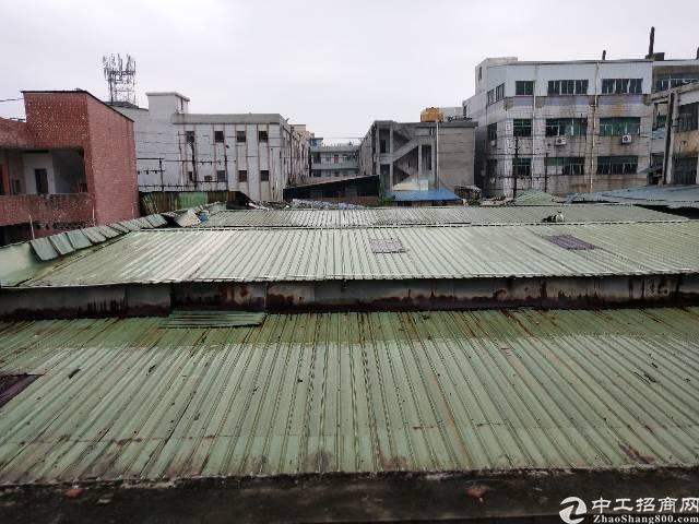 长安广深高速出口附近一楼可做仓库
