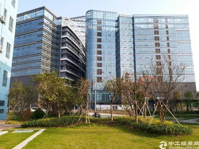 深圳市平湖甲级写字楼招商