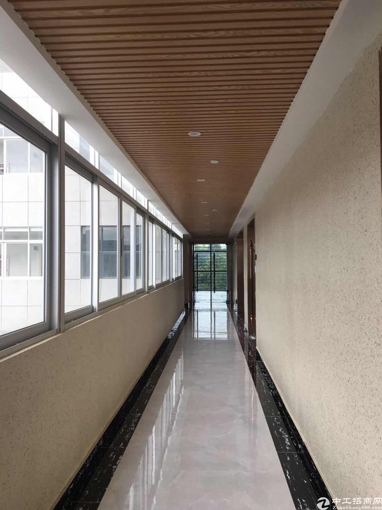 福永桥头精装修写字楼业主直租