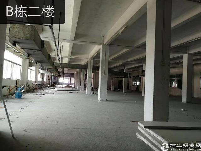 龙华明治,精装修写字楼188平招租