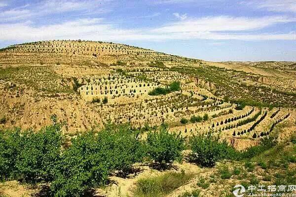 成都市蒲江县蒲江50亩国有土地招拍挂1