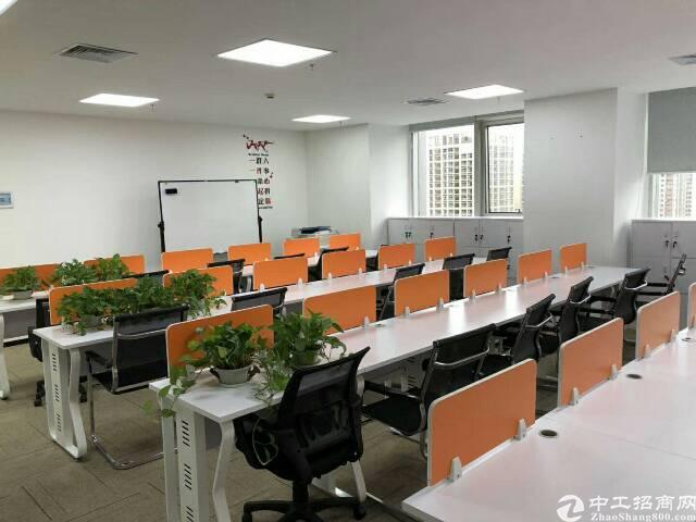 福田会展中心带家私/复试/随时入住!