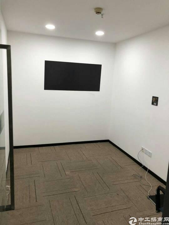 福田会展中心带家私/复试/随时入住!