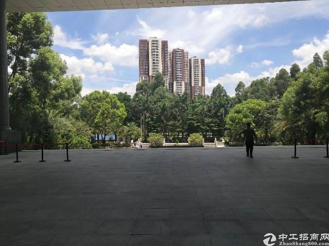 观澜新出原房东写字楼