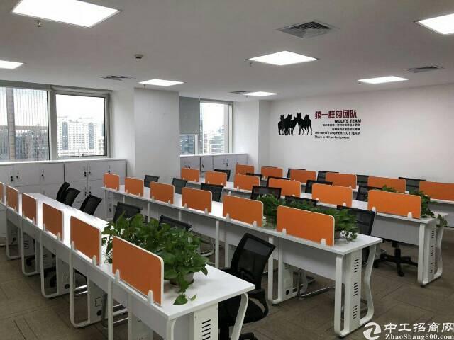 福田会展中心带家私/复试/随时入住!