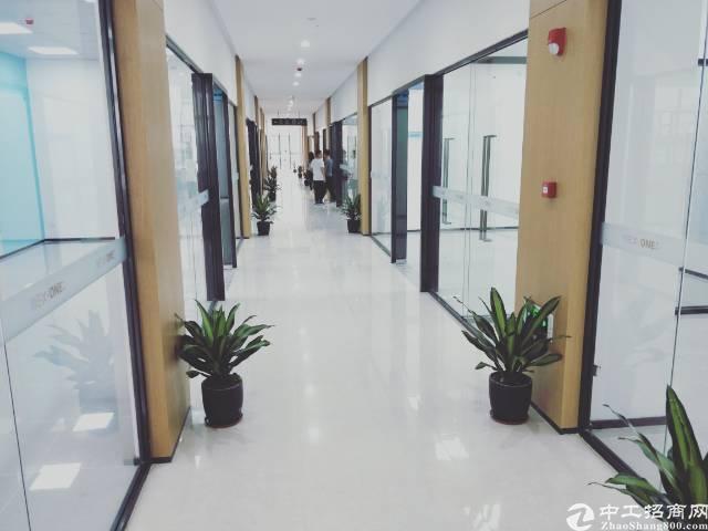 龙华大浪商业中心,精装修175平招租