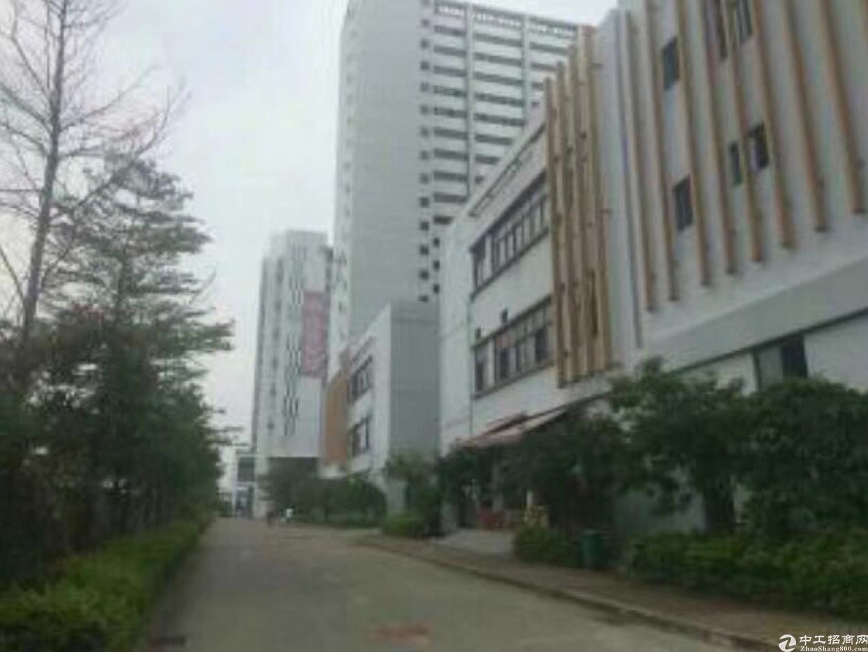 龙华清湖