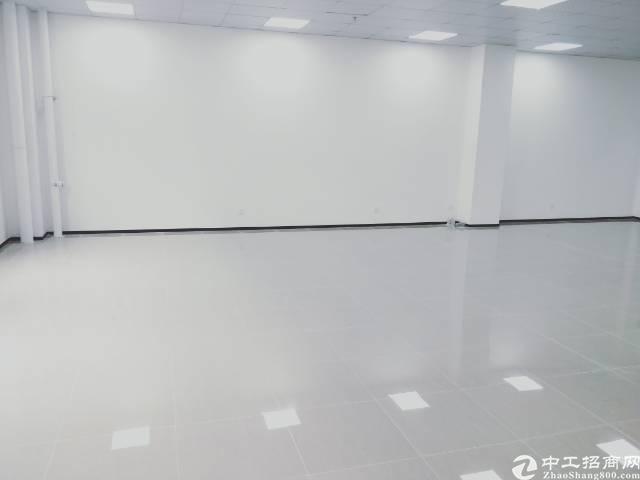 龙华大浪商业中心,精装修175平招租