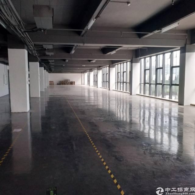 福永观湖精装写字楼特价出租