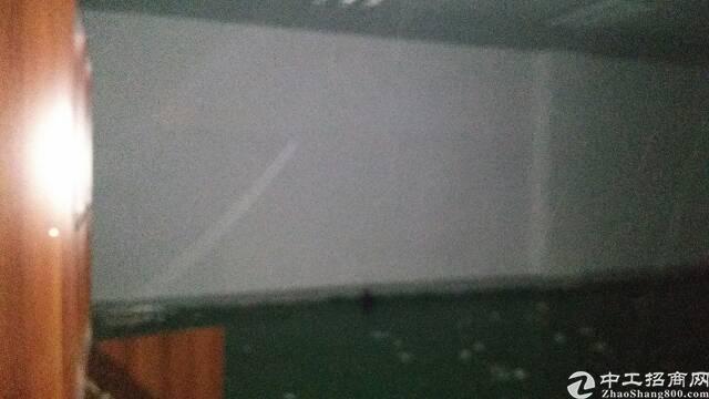 横岗 六约 写字楼出租 电商仓库 320平
