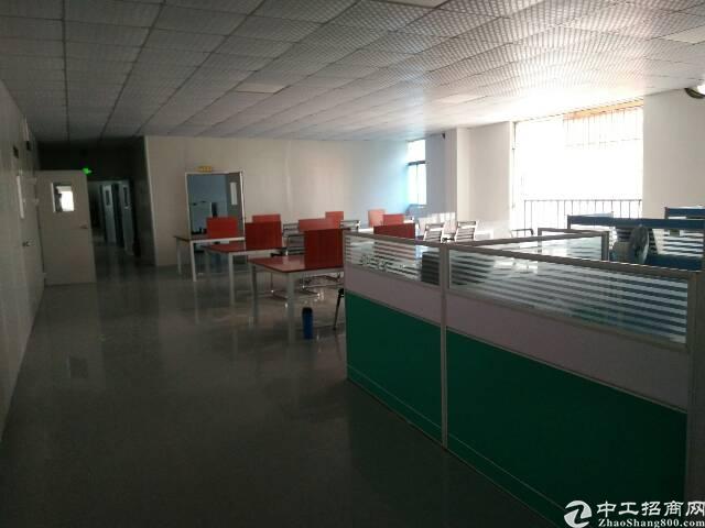 横岗 六约 写字楼出租 电商仓库 320平