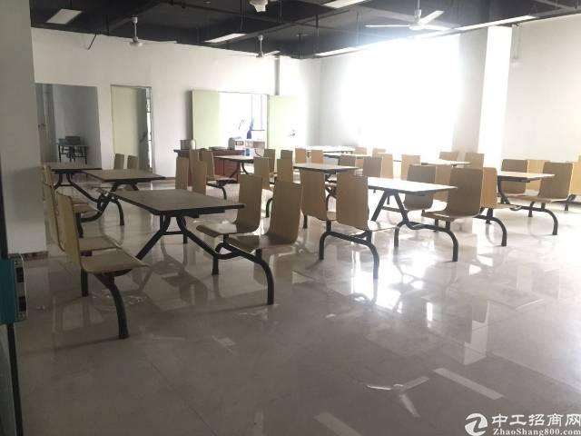 银田工业区新出1800带家私写字楼