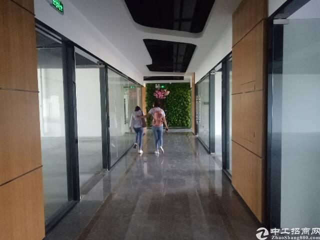 福永107国道靠机场精装写字楼特价出租,面积大小可分