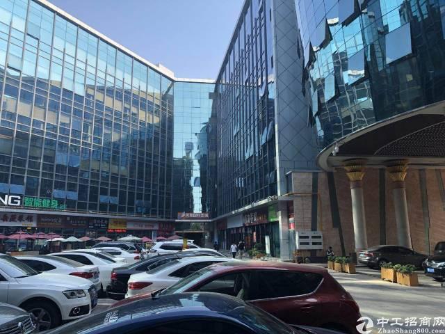西部硅谷精装修带家私,带政府补贴