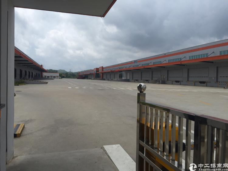 惠州唯一冷链大型仓库15000方出租。可明包