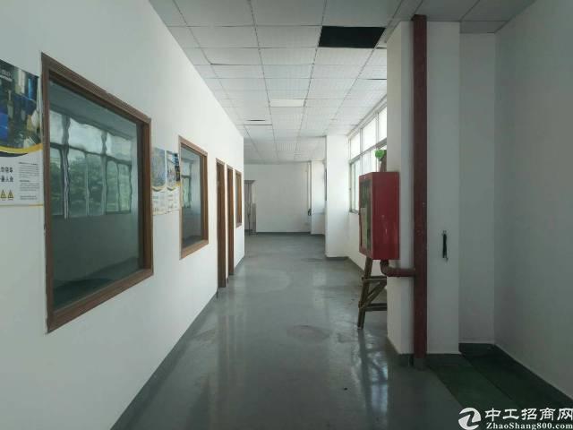 出租福永沿江高速精装写字楼600平大小可分