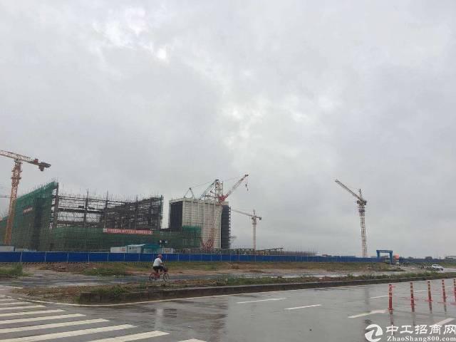 广东湛江200亩优质土地出售政府补贴更多