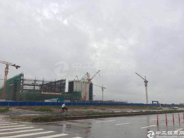 广东湛江200亩优质土地出售政府补贴更多4