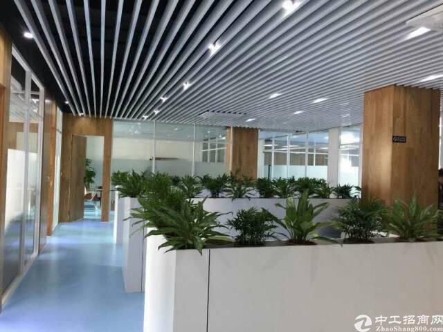 南城石鼓大量写字楼带豪华装修,免费停车出租。