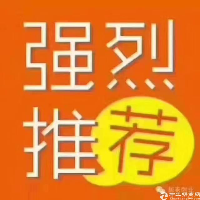 广东佛山国有带红本土地出售