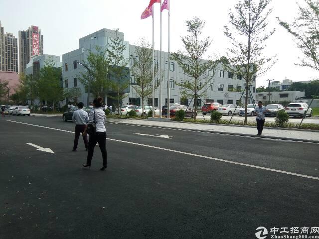 南城带豪华装修免费停车50-5000平方写字楼出租