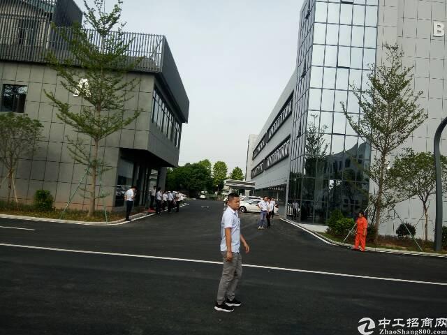 南城带豪华装修免费停车50-5000平方写字楼出租