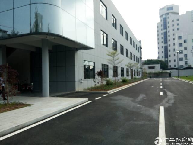 南城带豪华装修免费停车50-5000平方写字楼出租