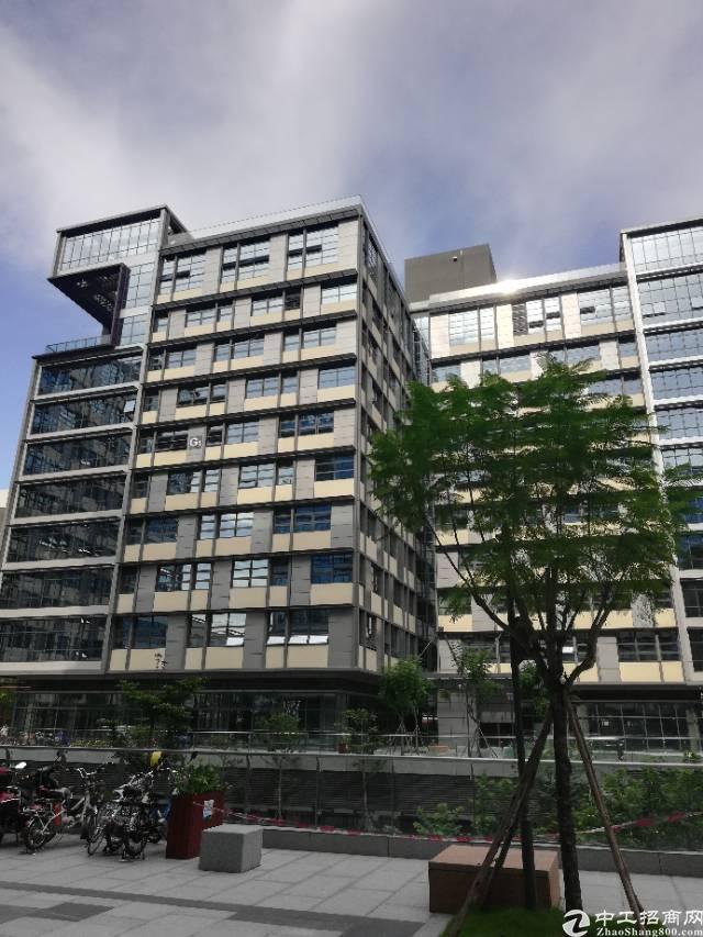 精装修256写字楼