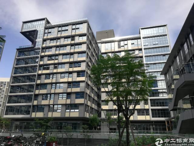 精装修256写字楼