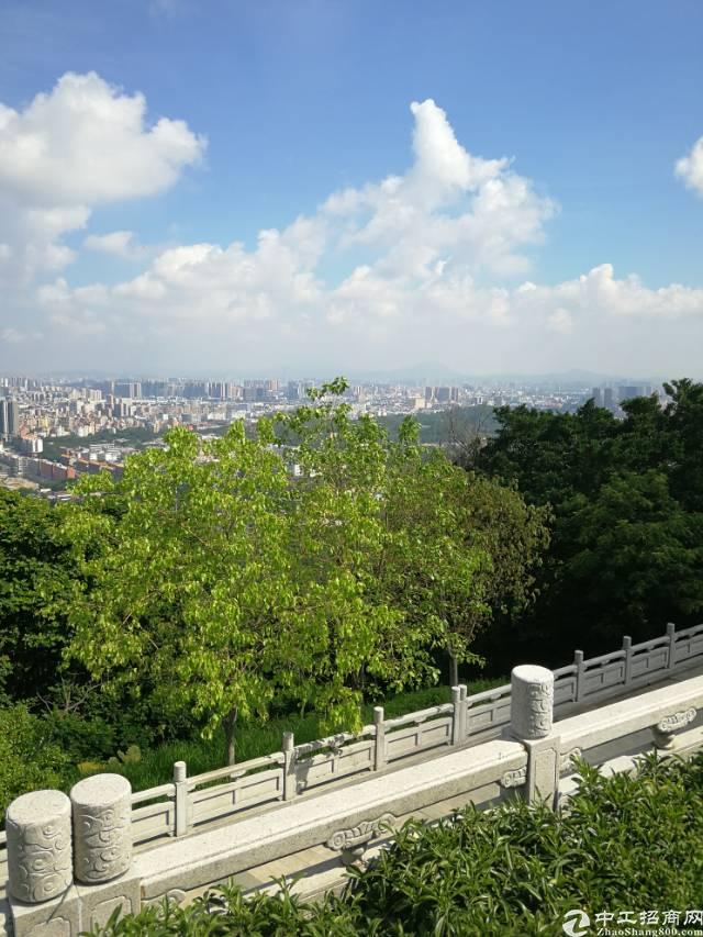 湖南湘潭雨湖土地招拍挂1