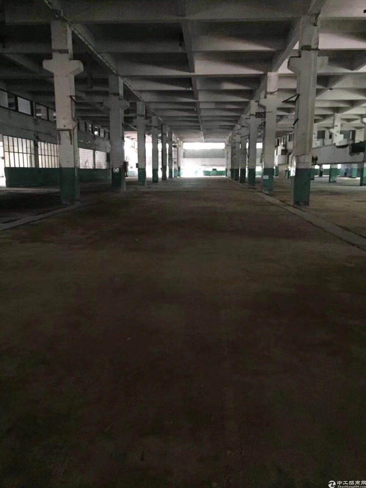 深圳龙华新出两万平一楼厂房物流企业仓库管理停车管理理想场所