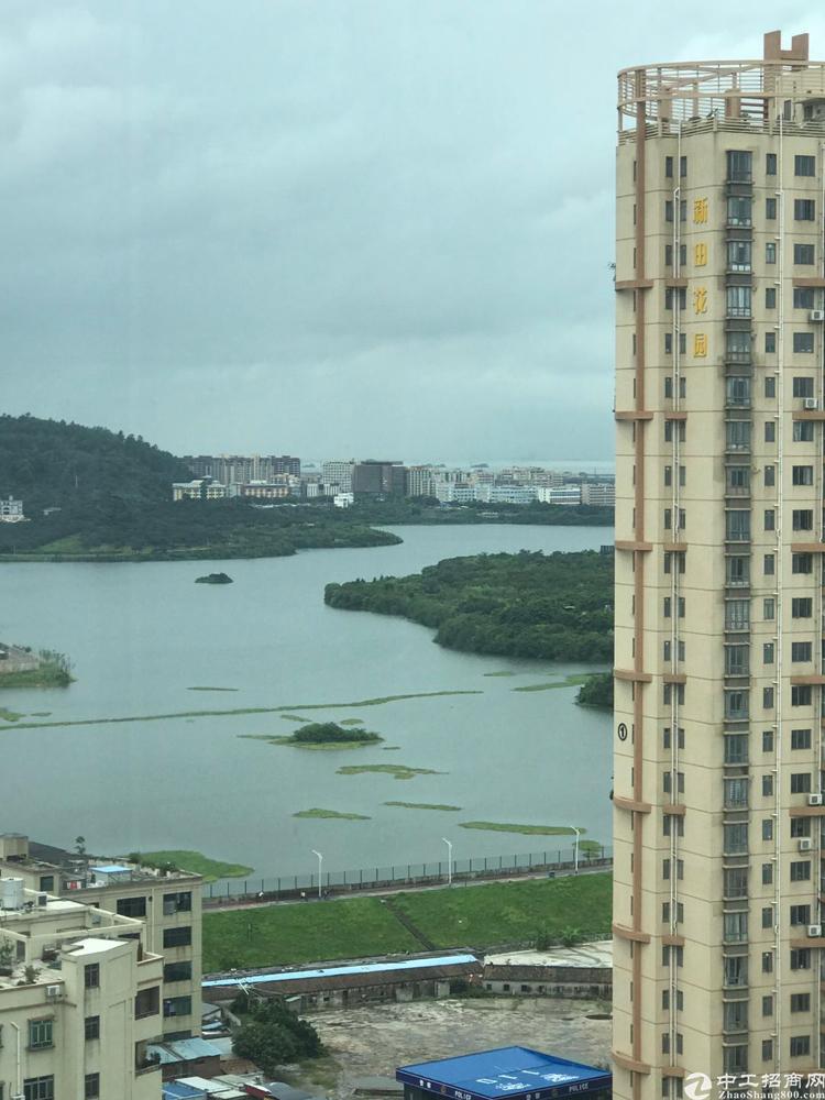 福永特价精装看湖景写字楼,坐享湖山,办公福地
