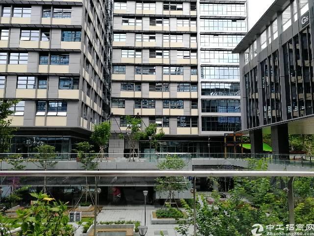 豪华装修,带家私458平