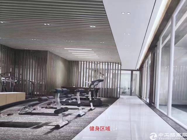 南山西丽高层甲级写字楼170㎡起租欲租从速