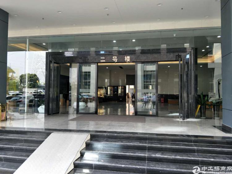 南山西丽写字楼500平出租
