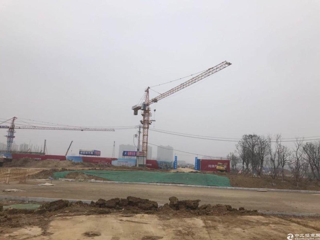武汉国有土地汽车部件产业园出售150亩