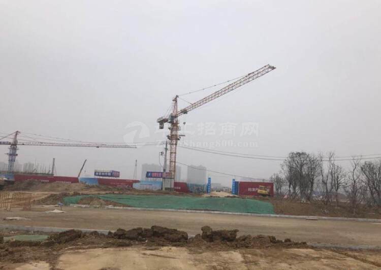 武汉国有土地汽车部件产业园出售150亩2
