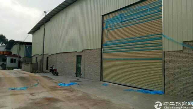 惠城区小金口新出钢构仓库出租6500平可分租，滴水九米，