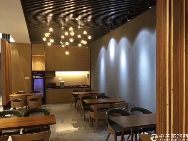 坂田吉华路别墅区新出独栋全新豪华装修219平户型高配置放租
