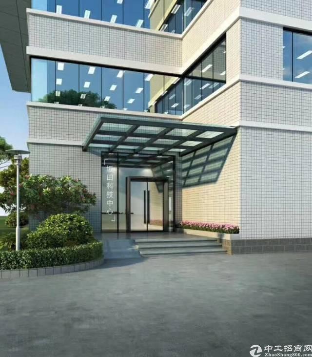 坂田吉华路别墅区新出独栋全新豪华装修219平户型高配置放租