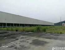 广州番禺41亩国有证工业工地出售