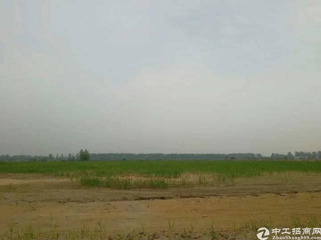 广东省湛江市优质国有土地出售政府补贴更多