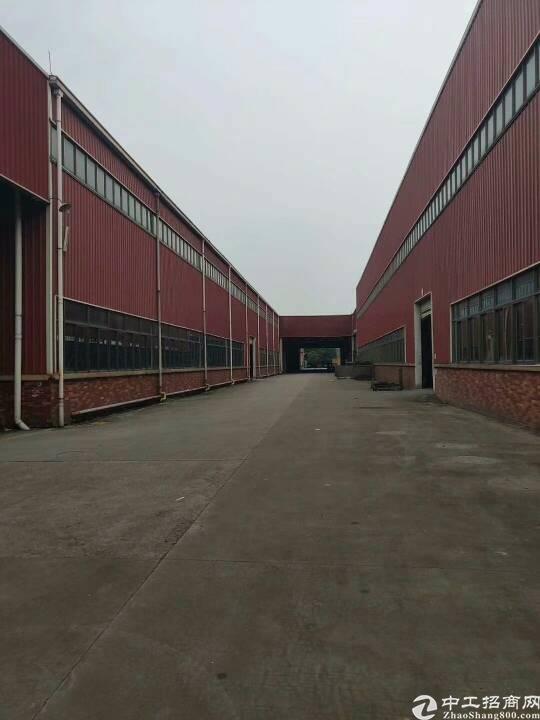 广州新塘单一层钢结构仓库12万平方出租