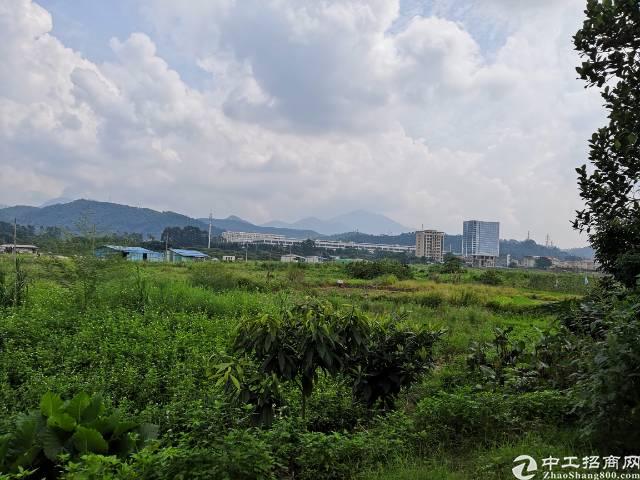 广东省茂名市100亩优质国有指标用地出售1